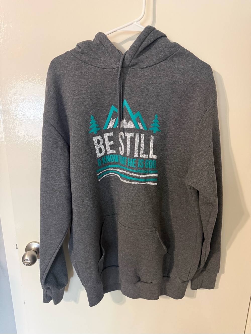 Original Deluxe Gray Hoodie with Teal Mountain Graphic